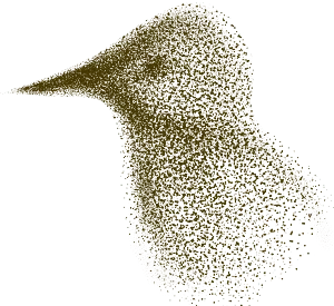 Starling logo—a starling bird rendered as a flock of dots
