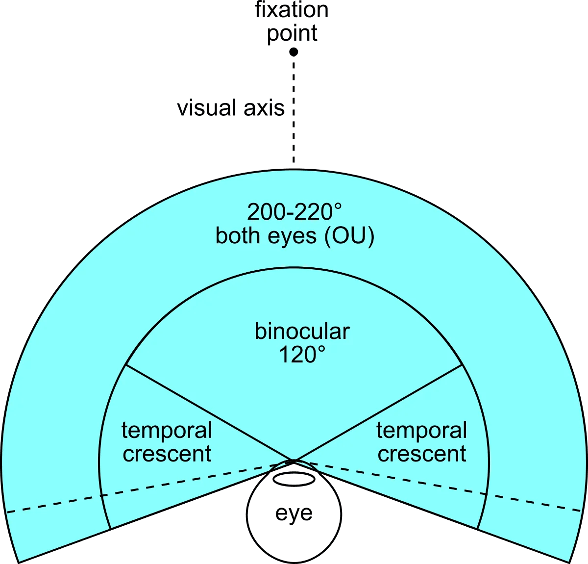 Field of view diagram comparing sensor coverage to human binocular vision