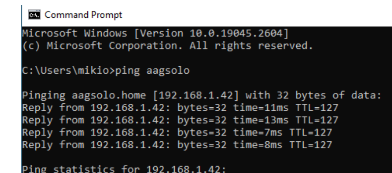 Command Prompt output of ping aagsolo, resolving to 192.168.1.42 with 4 successful replies