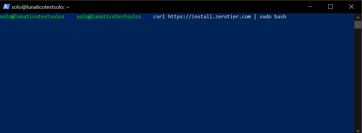 Terminal showing curl https://install.zerotier.com piped to sudo bash