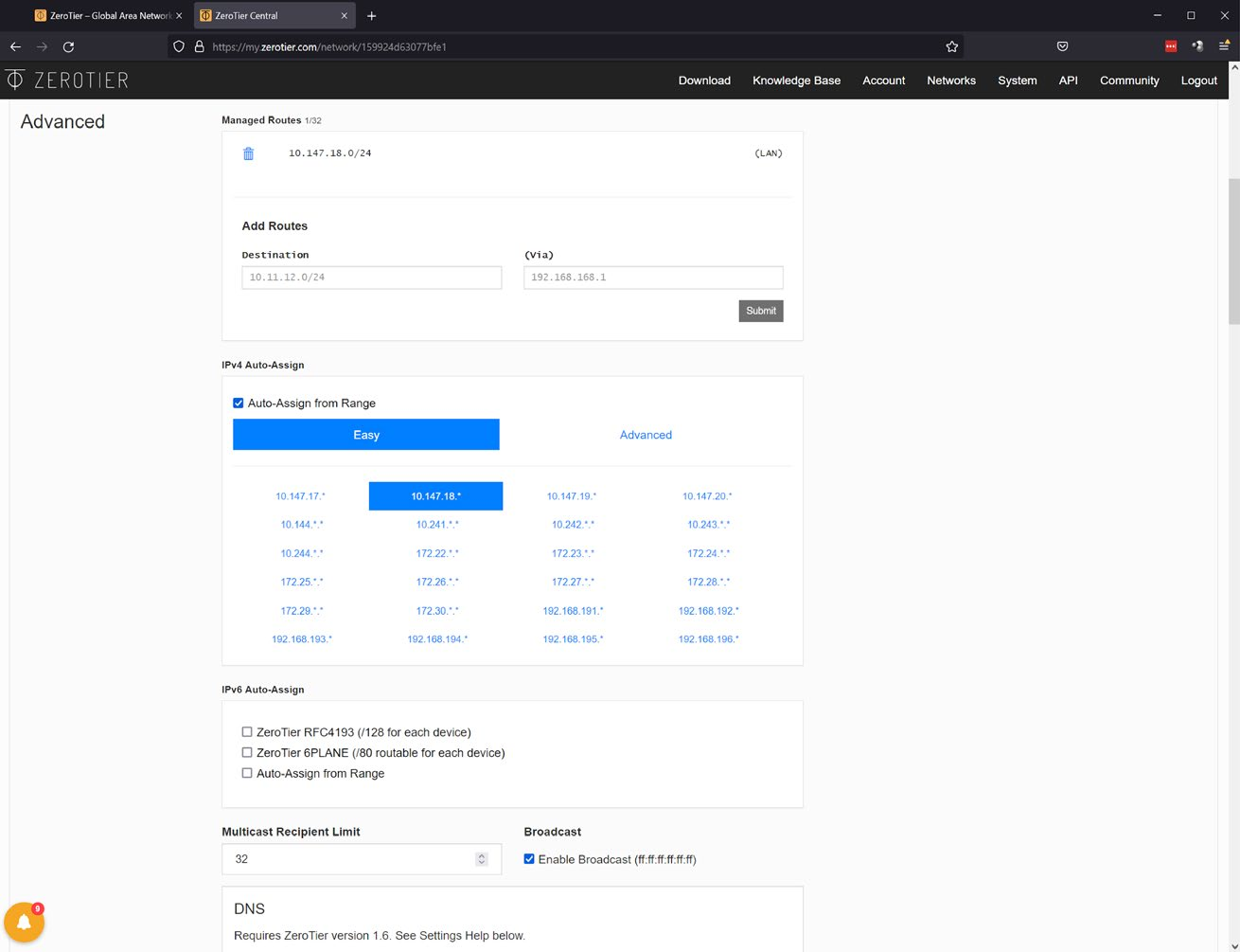 IPv4 Auto-Assign section with the 10.147.18.* range selected from a grid of options