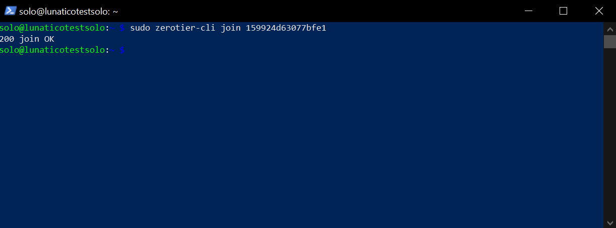 Terminal showing sudo zerotier-cli join followed by the network ID, returning 200 join OK