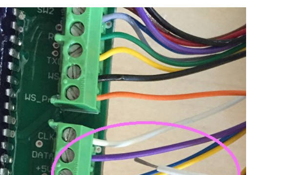 The green terminal block on the board, with the relevant wires circled